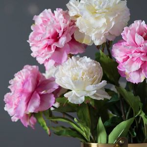 Meet your Posher, Louise